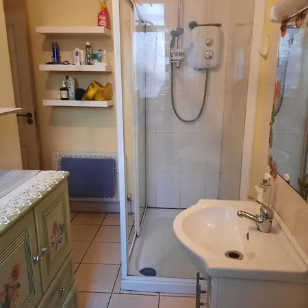 With Kitchen And Bathroom 코크