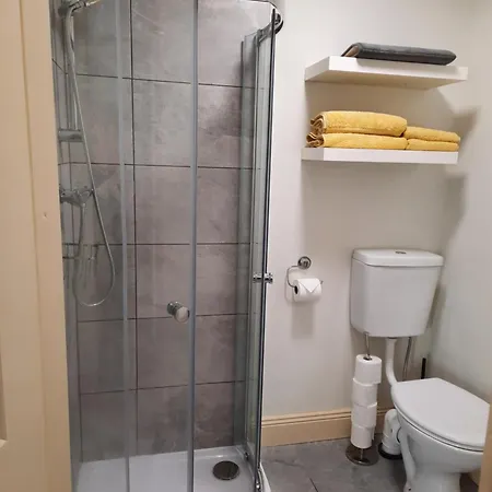 With Kitchen And Bathroom *